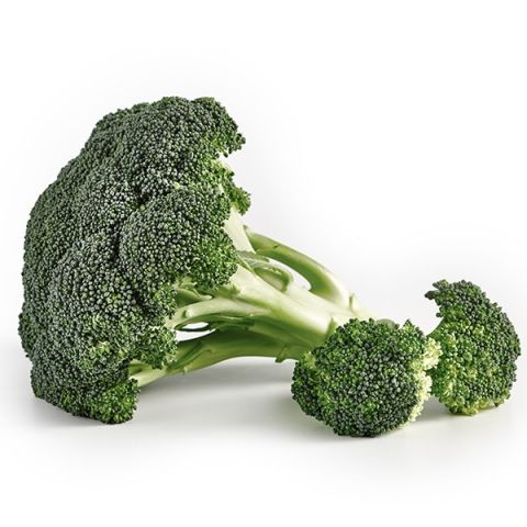 BROCOLI 